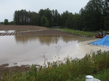 豪雨