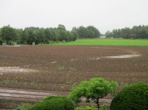 雨に流れて-2