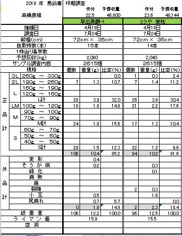 A坪堀2019