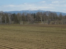 藻琴山残雪模様