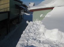 屋根雪下し-1