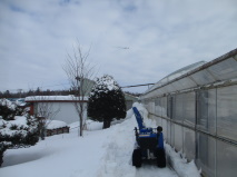 ﾋﾞｰﾄﾊｳｽ除雪