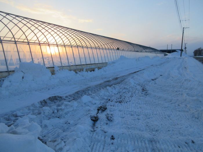 ハウス周囲除雪-3